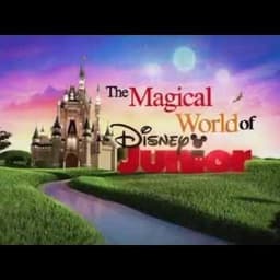 The magical world of Disney junior 