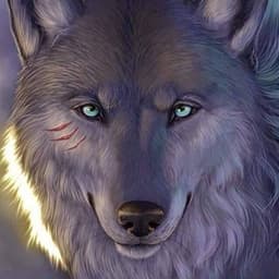 احمد فؤاد سليم 