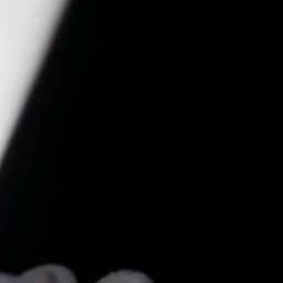 أمسي ميقووو