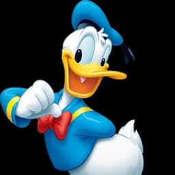 Donald Duck (Tony Anselmo) #2