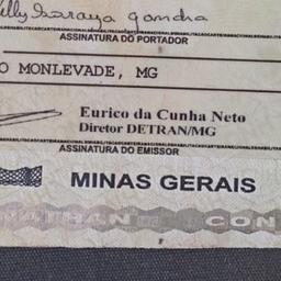 Voz luana