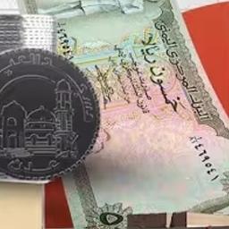 تقرير 