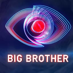 big brother