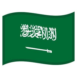 saudi dr