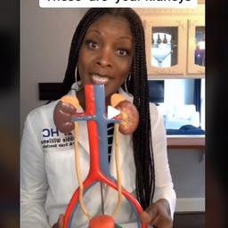 Here’s what you should know about your kidneys