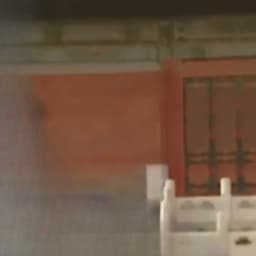 真正版雍正老十