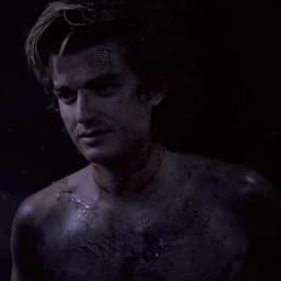 Steve Harrington PT br