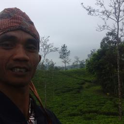Dedi Sutisna 