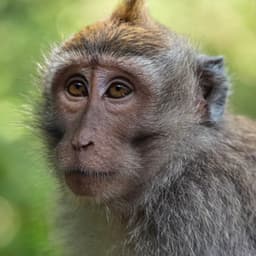 اناس التقول عزبي ما ينوم والله سيف الدين عرس عمرو 