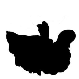 2.网络热梗