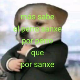 Perro Sanxe