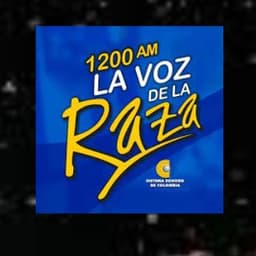 VOZ CANAL INSTITUCIONAL 2025