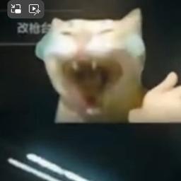 雷斯