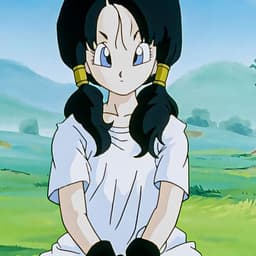 Videl