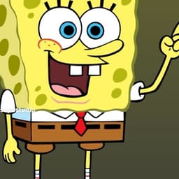 Spongebop