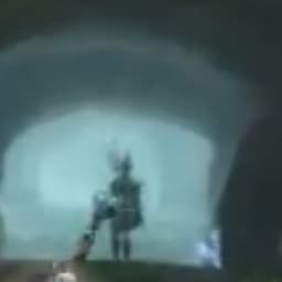 Kingdom of amalur: re-Reckoning - The Widow