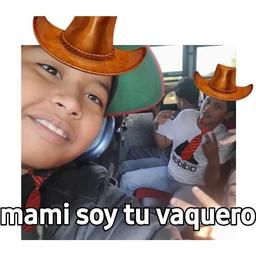 Voz rosalia