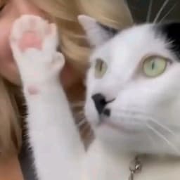 Sueter se puso las pulas