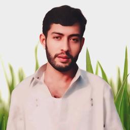 Mumtaz ali 