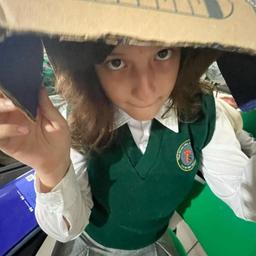 Romina IA