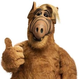 Alf the alien