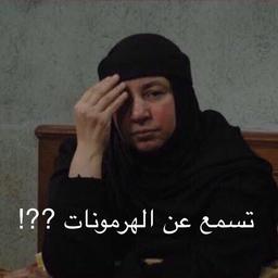 جودي