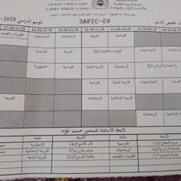 القط الاسود 