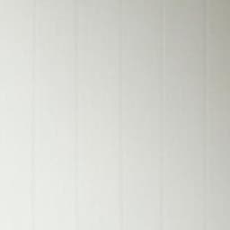 министр юстицый 