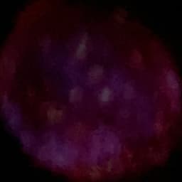 ⚊෴彡⬳፨⠒̫⃝⚇