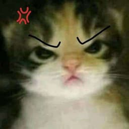 SÓ PASSO ESTRESSE >:( (MEME)