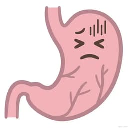 东北短发女（护胃）