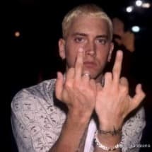 Slim Shady