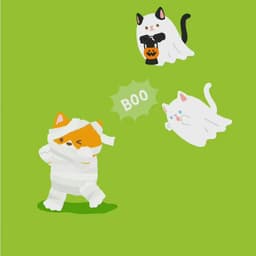 丁老师_女_4_广告-商务磁性-汽车