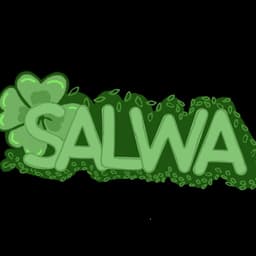 مغامرات سلوى