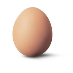 Egg