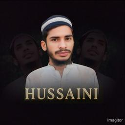 Muhammad Aalim Hussaini 