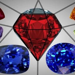 عصام الشوالي 