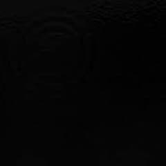 teste de voz punisher