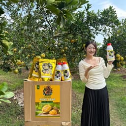 giới thiệu sản phẩm phân bón rồng vàng