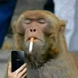 Voz Brian Tracey prueba