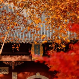 0813-男人的长短-张鹏