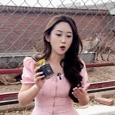 鹿场粉衣记着波浪卷美女