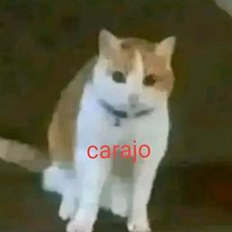 peso deidad