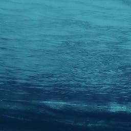 5.28 清华大学门口兜里有100万的女学生