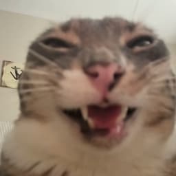 صوتي انا علي