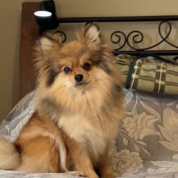 MUJER ESPAÑOLA FIO 1