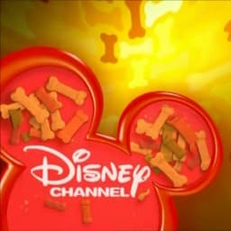 Disney Channel Middle East Announcer (2003 - 2007)