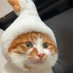 剧情