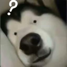 再再再试试东北音