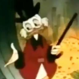 duck